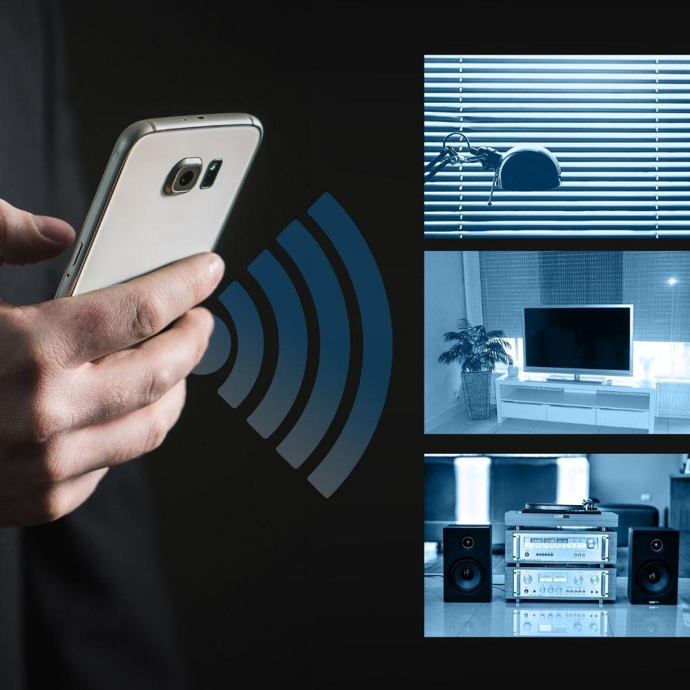 Intrusion Detection Systems (IDS)