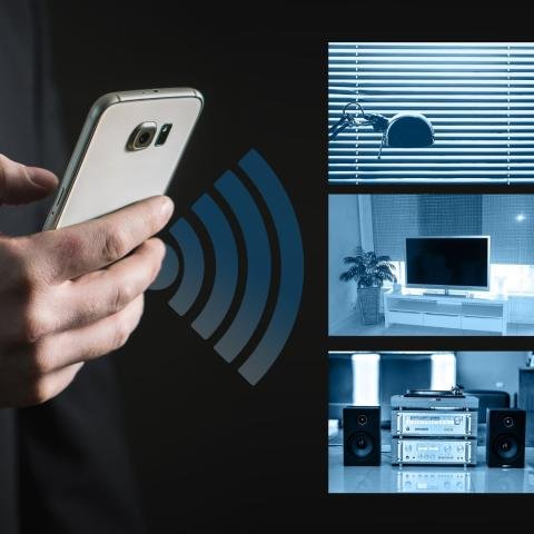Your Network’s Sixth Sense: Understanding IDS