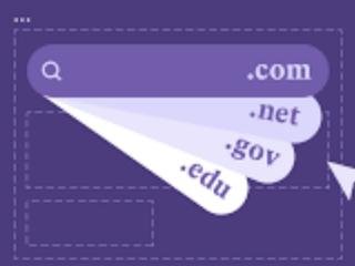 Popular Extensions (.com, .net)