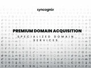 Premium Domain Acquisition