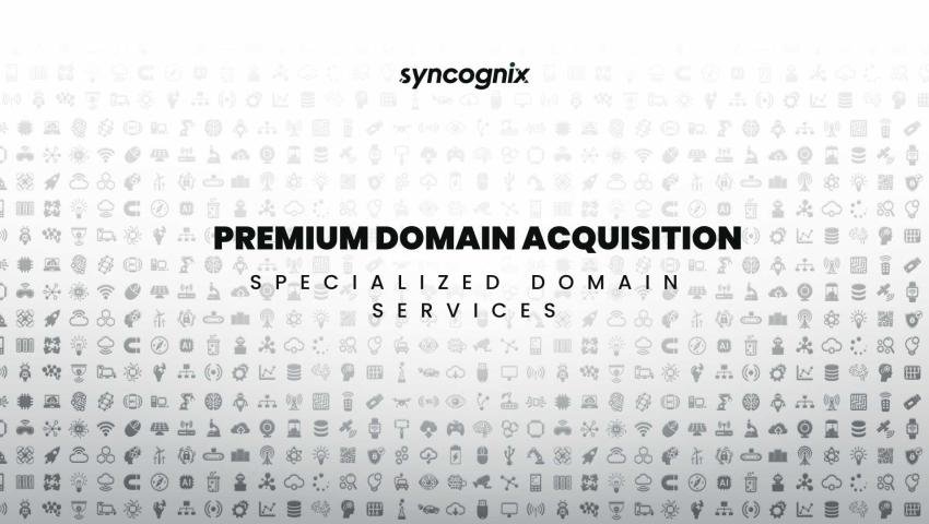 Premium Domain Acquisition