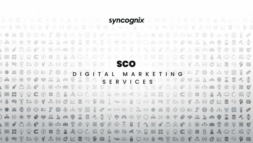SEO (Search Engine Optimization)